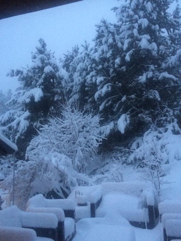 Chalet Pomme De Pin 5 Chambres 12 A 14 Personnes Formiguères Exteriör bild