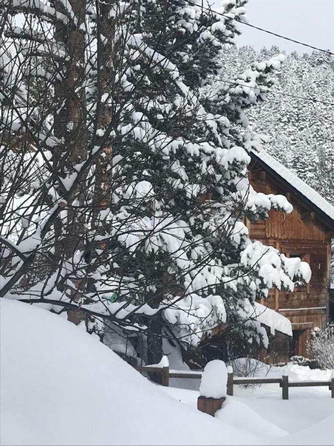 Chalet Pomme De Pin 5 Chambres 12 A 14 Personnes Formiguères Exteriör bild